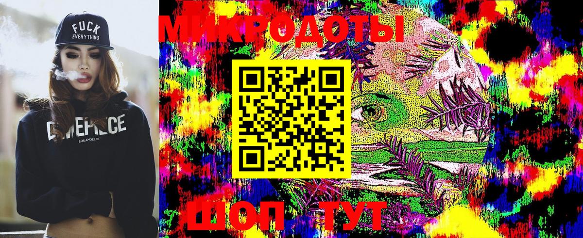 Псилоцибиновые грибы Psilocybe  Вход с VPN  Родники 