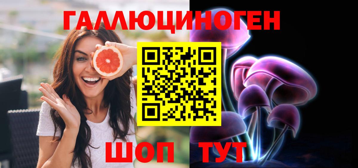 Псилоцибиновые грибы Psilocybine cubensis Родники